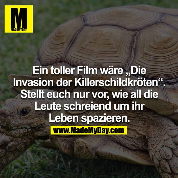 Ein toller Film wäre die Invasion der Killerschildkröten. Stellt euch nur vor wie all die Leute schreiend um ihr Leben spazieren.<br />
