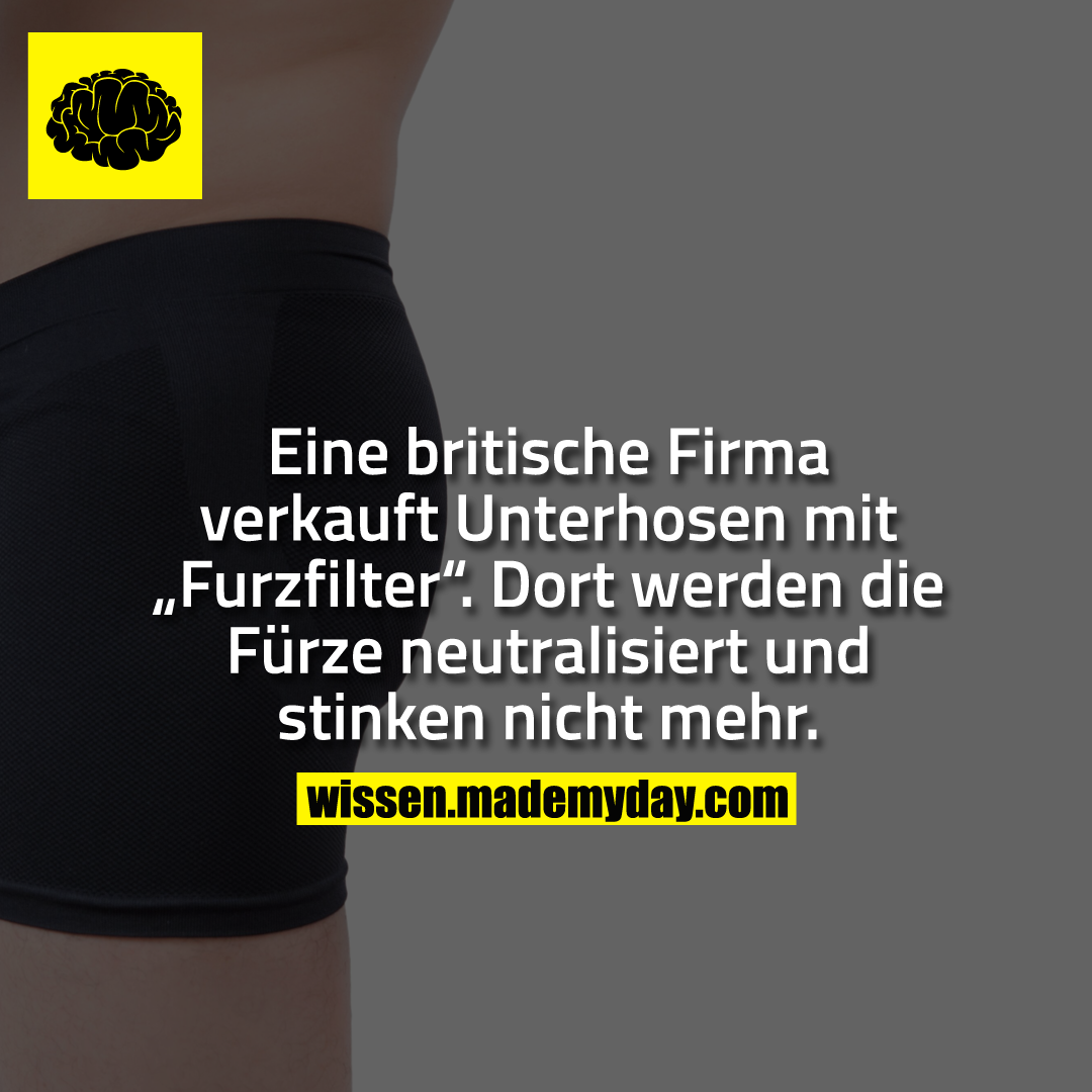 Eine britische Firma verkauft Unterhosen mit „Furzfilter“. Dort werden die Fürze neutralisiert und stinken nicht mehr.