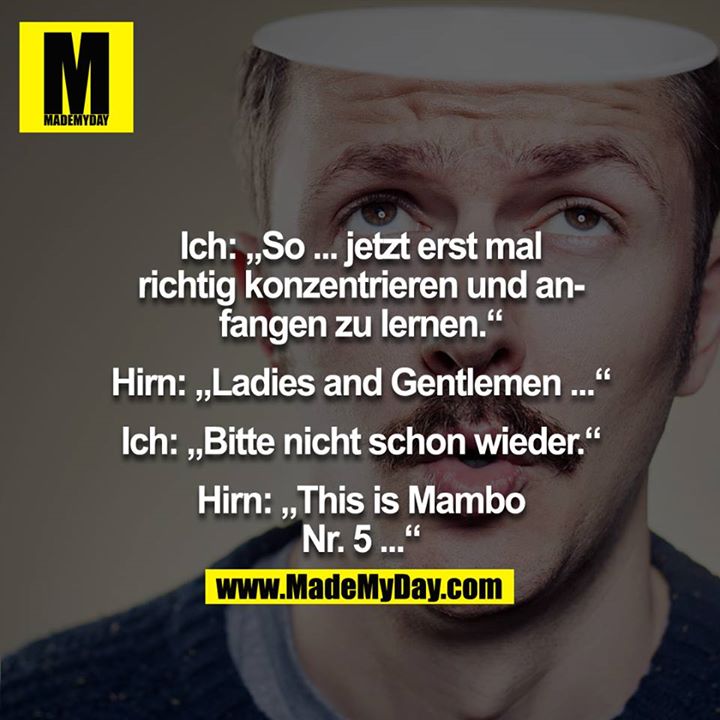 Ich: "So jetzt erst mal richtig konzentrieren und anfangen zu lernen."<br />
Hirn: "Ladies and Gentleman..."<br />
Ich: "Bitte nicht schon wieder."<br />
Hirn: "This is Mambo Nr. 5..."<br />
