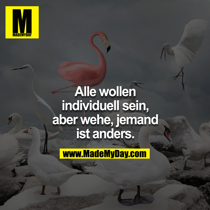 Alle wollen individuell sein, aber wehe, jemand ist anders.<br />
