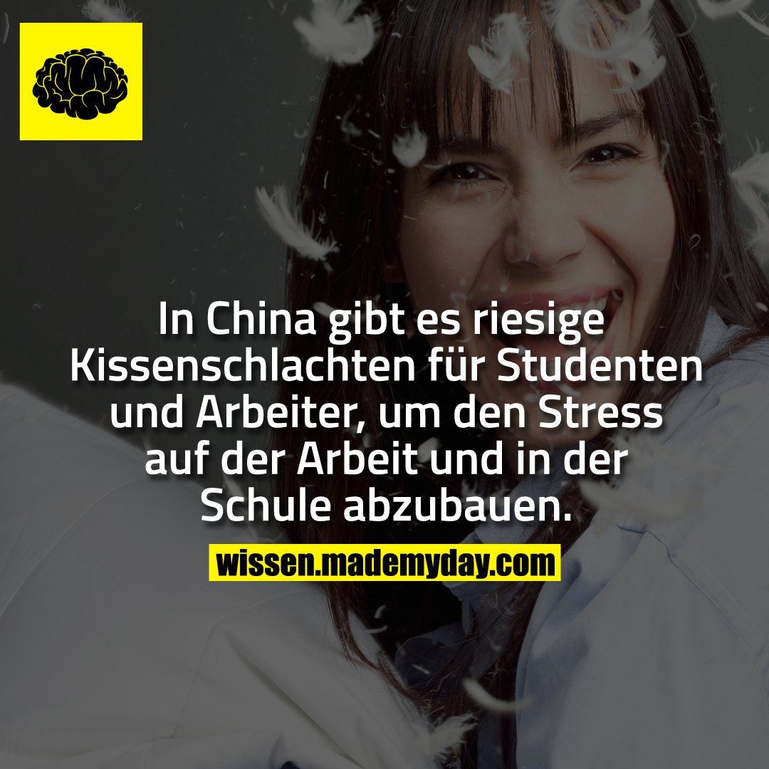 In China gibt es riesige Kissenschlachten für Studenten und Arbeiter, um den Stress auf der Arbeit und in der Schule abzubauen.