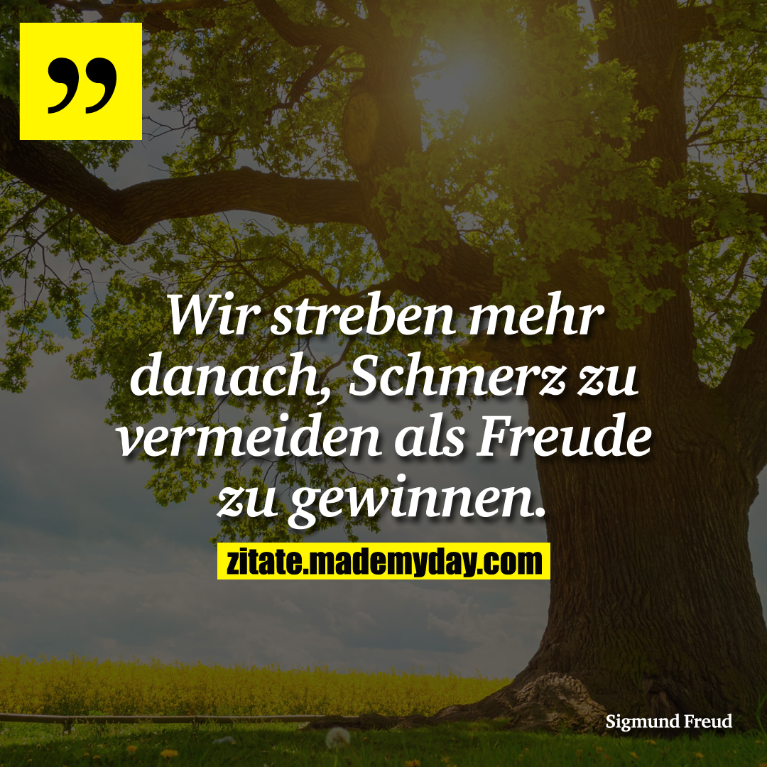 Wir streben mehr danach, Schmerz zu vermeiden als Freude zu gewinnen.