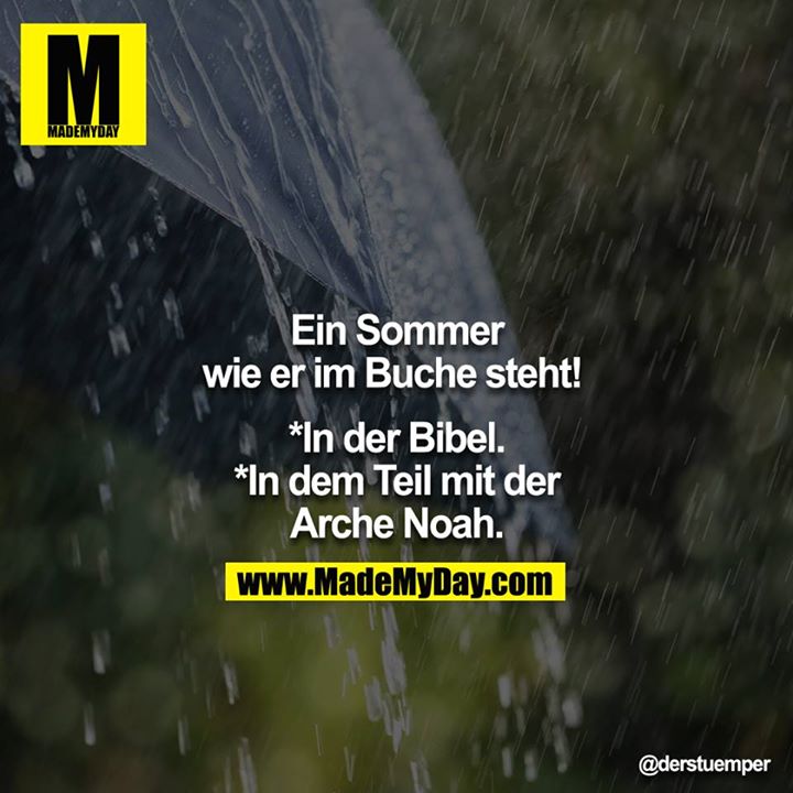 Ein Sommer wie er im Buche steht! <br />
<br />
*in der Bibel<br />
*in dem Teil mit der Arche Noah<br />
<br />
