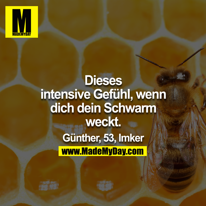 Dieses intensive Gefühl, wenn dich dein Schwarm weckt.<br />
<br />
Günther, 53, Imker<br />
