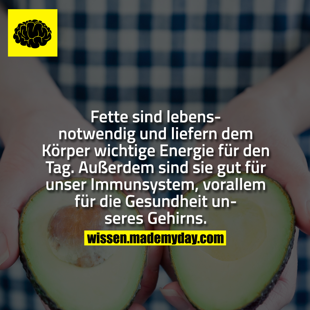 Fette sind lebensnotwendig und liefern dem Körper wichtige Energie für den Tag. Außerdem sind sie gut für unser Immunsystem, vorallem für die Gesundheit unseres Gehirns.