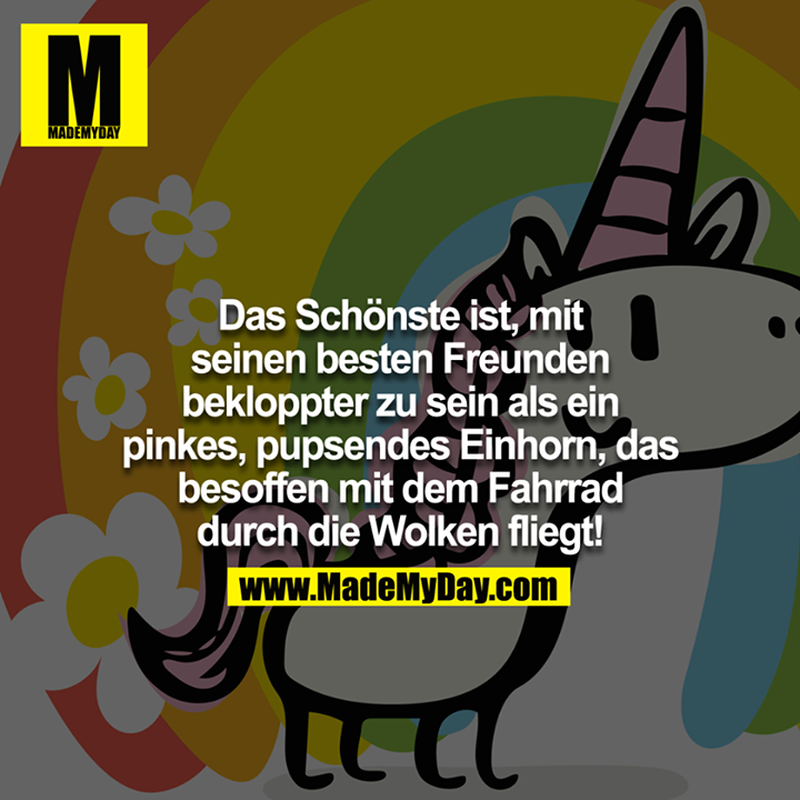 Das schönste ist mit seinen besten Freunden bekloppter zu sein, als ein pinkes, pupsendes Einhorn, dass besoffen mit dem Fahrrad durch die Wolken fliegt!<br />
