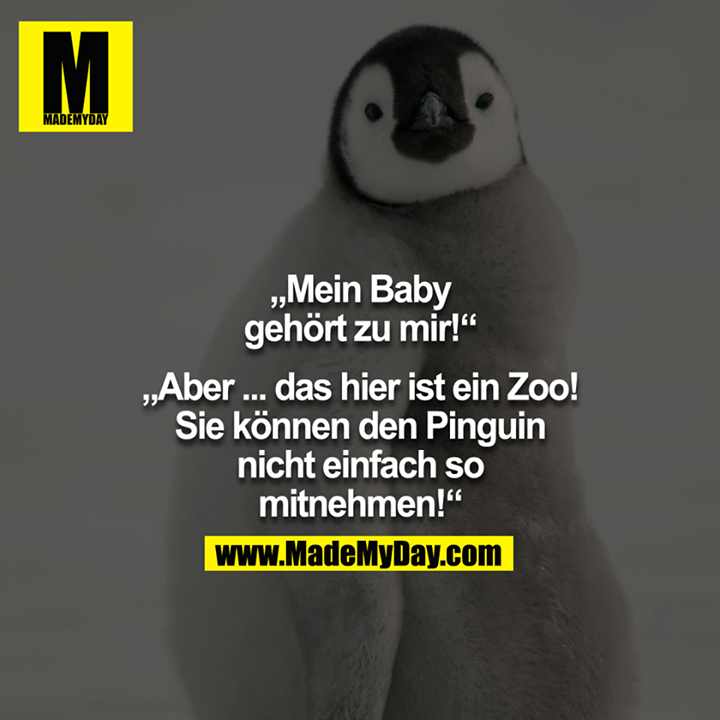"Mein Baby gehört zu mir!" - "ABER... das hier ist ein Zoo! Sie können den Pinguin nicht einfach so mitnehmen!" 