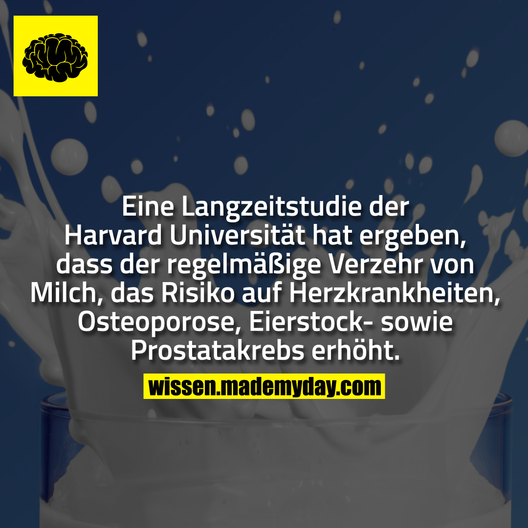 Eine Langzeitstudie der Harvard Universität hat ergeben, dass der regelmäßige Verzehr von Milch, das Risiko auf Herzkrankheiten, Osteoporose, Eierstock- sowie Prostatakrebs erhöht.