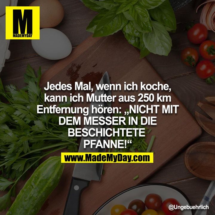 Jedes Mal, wenn ich koche, kann ich Mutter aus 250km Entfernung hören: NICHT MIT DEM MESSER IN DIE BESCHICHTETE PFANNE!<br />
