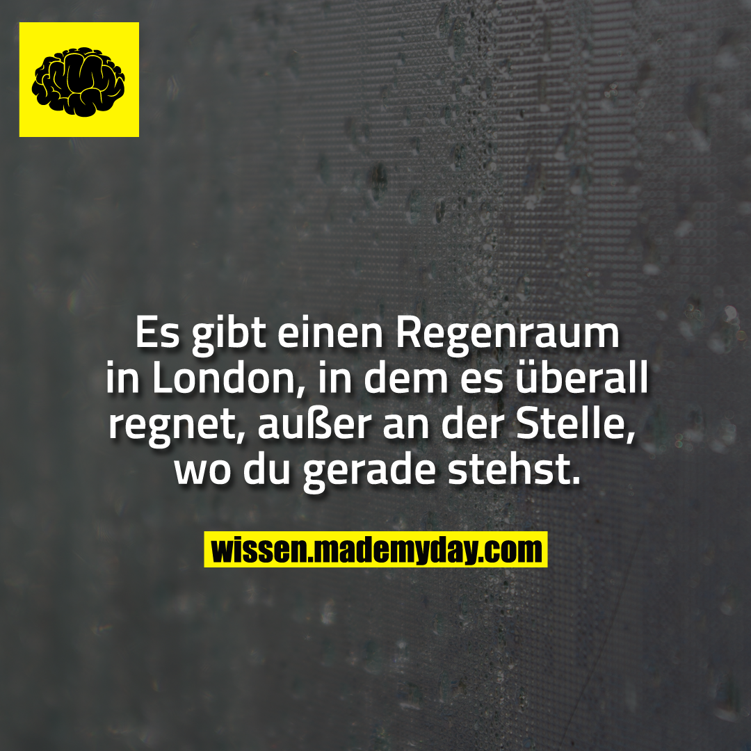 Es gibt einen Regenraum in London, in dem es überall regnet, außer an der Stelle, wo du gerade stehst.
