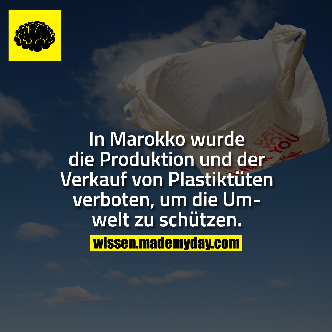 In Marokko wurde die Produktion und der Verkauf von Plastiktüten verboten, um die Umwelt zu schützen.