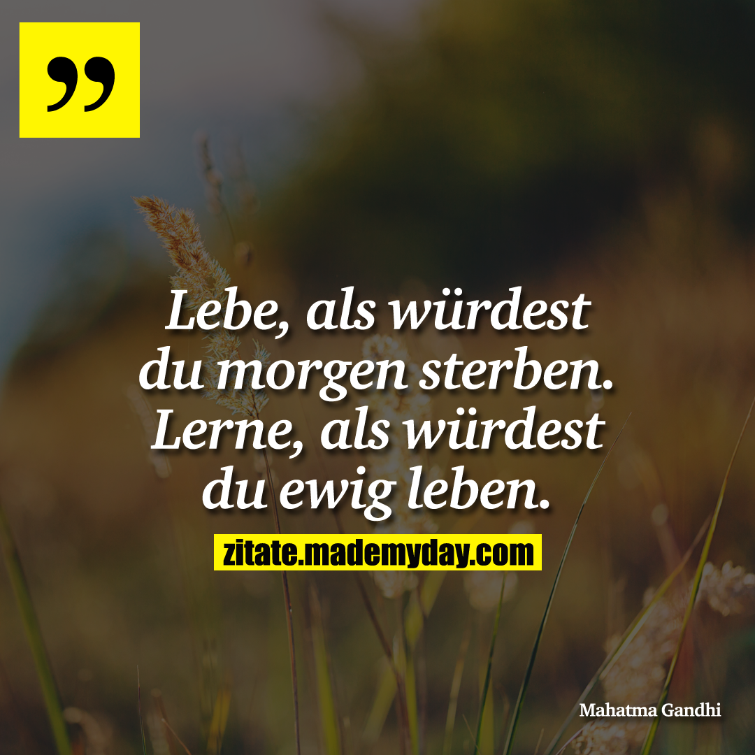 Lebe, als würdest du morgen sterben. Lerne, als würdest du ewig leben.