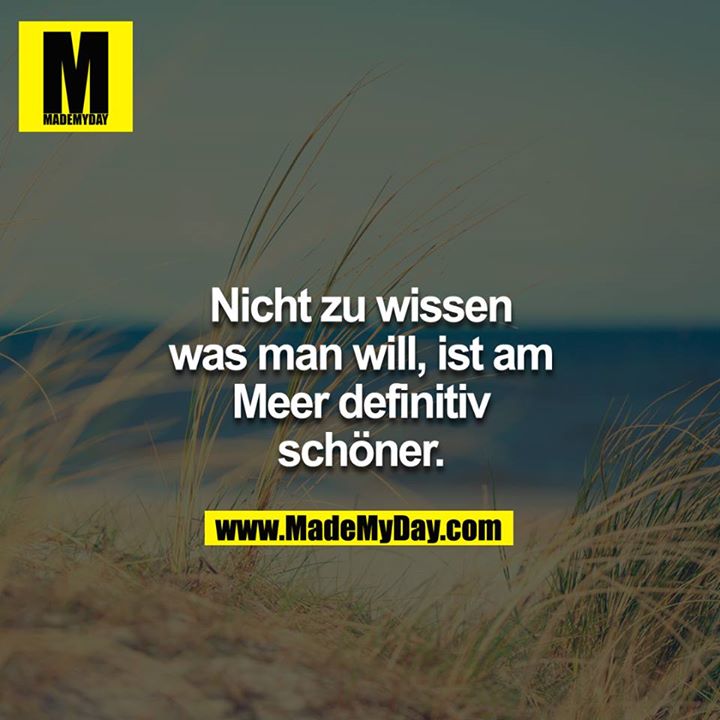 Nicht zu wissen was man will, ist am Meer definitiv schöner