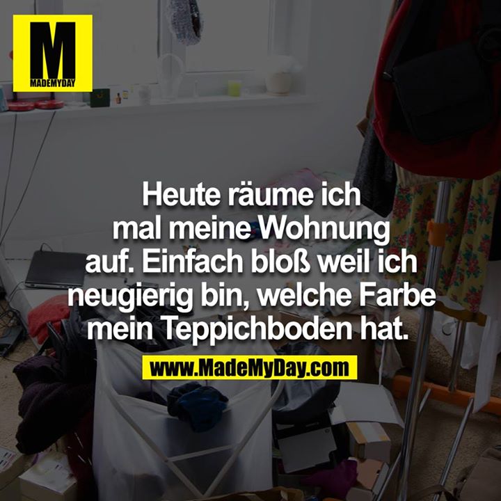 Heute räume ich mal meine Wohnung auf. Einfach bloß weil ich neugierig bin, welche Farbe mein Teppichboden hat. 