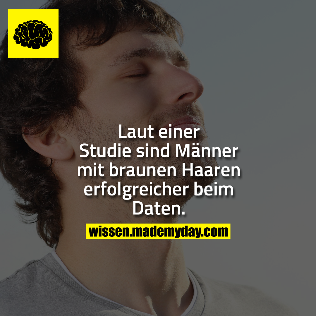 Laut einer Studie sind Männer mit braunen Haaren erfolgreicher beim Daten.
