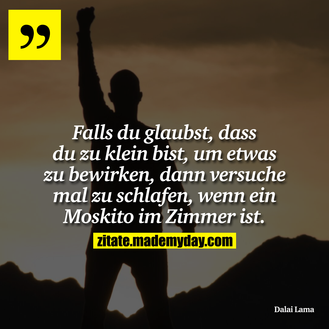 Falls du glaubst, dass du zu klein bist, um etwas zu bewirken, dann versuche mal zu schlafen, wenn ein Moskito im Zimmer ist.