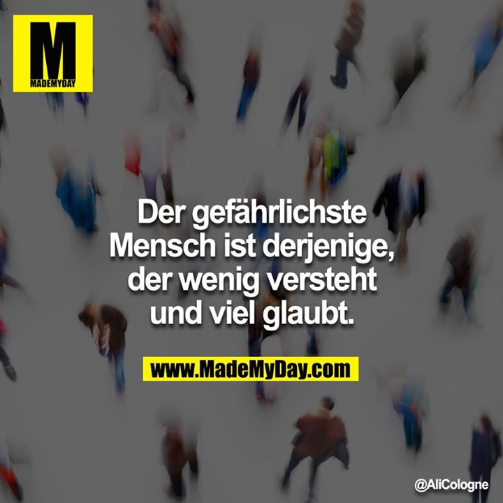 Der gefährlichste Mensch ist derjenige, der wenig versteht und viel glaubt.<br />
