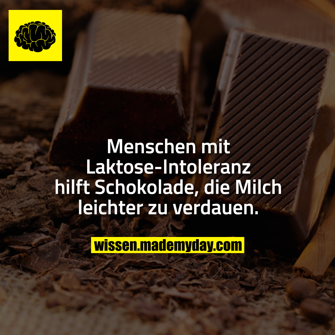 Menschen mit Laktose-Intoleranz hilft Schokolade, die Milch leichter zu verdauen.