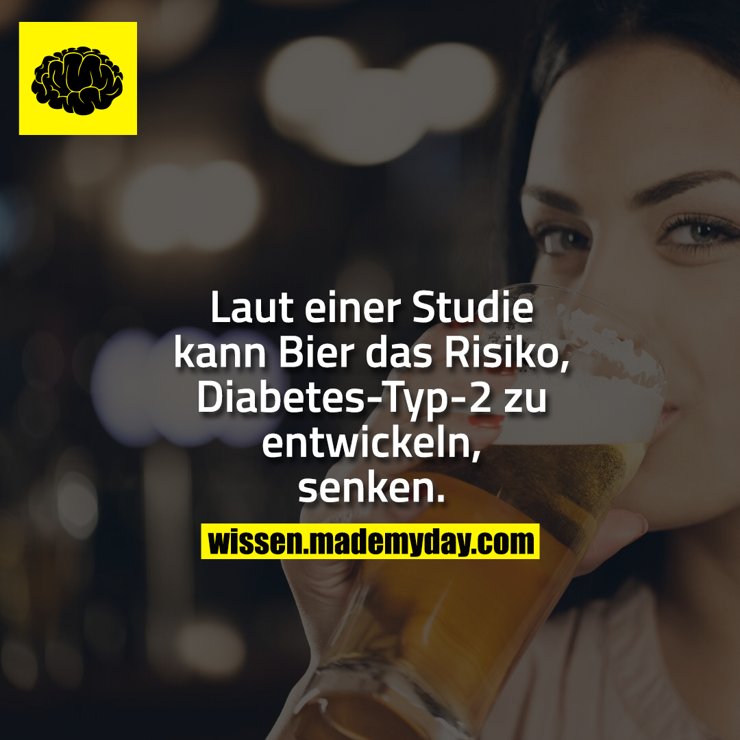 Laut einer Studie kann Bier das Risiko, Diabetes-Typ-2 zu entwickeln, senken.