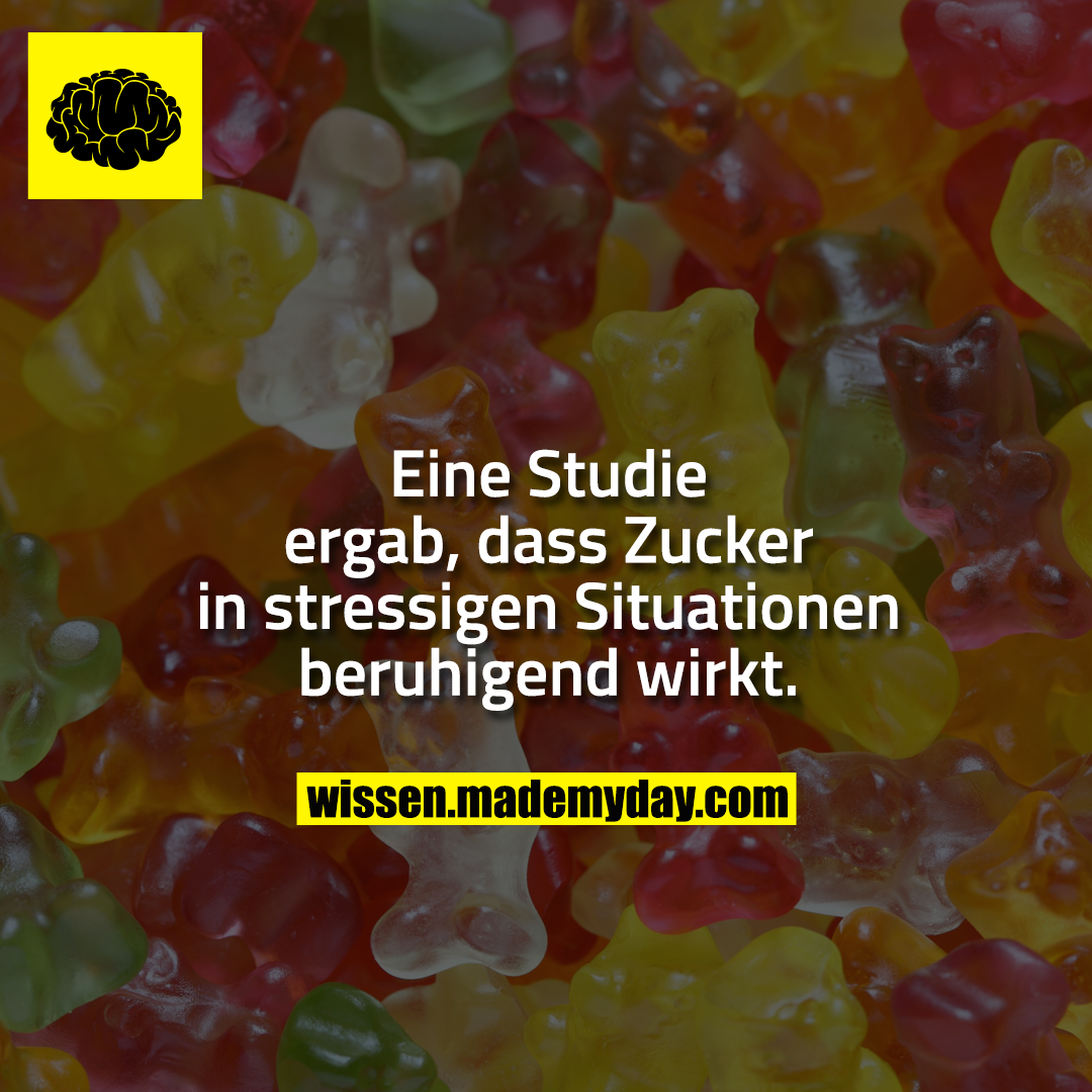 Eine Studie ergab, dass Zucker in stressigen Situationen beruhigend wirkt.