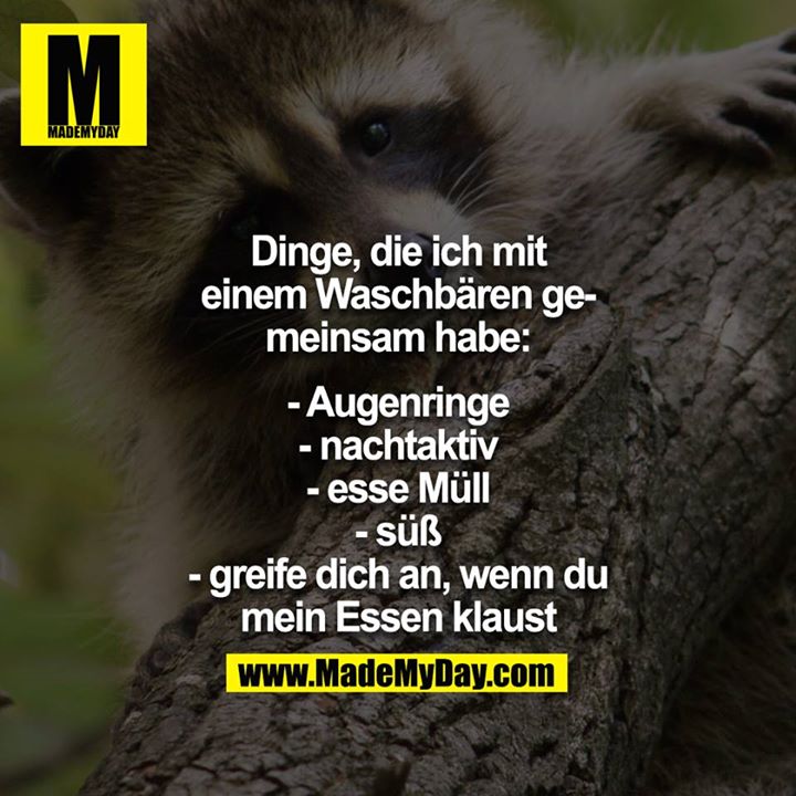 Dinge, die ich mit einem Waschbären gemeinsam habe:<br />
<br />
- Augenringe<br />
- nachtaktiv<br />
- esse Müll<br />
- süß<br />
- greife dich an, wenn du mein Essen klaust<br />
<br />
