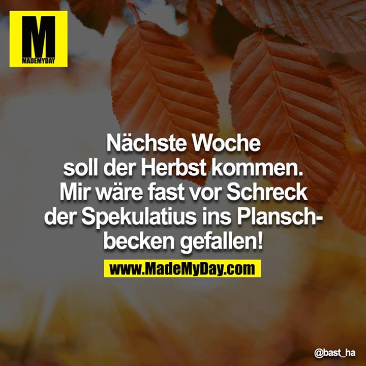 Nächste Woche soll der Herbst kommen. Mir wäre fast vor Schreck der Spekulatius ins Planschbecken gefallen!<br />
