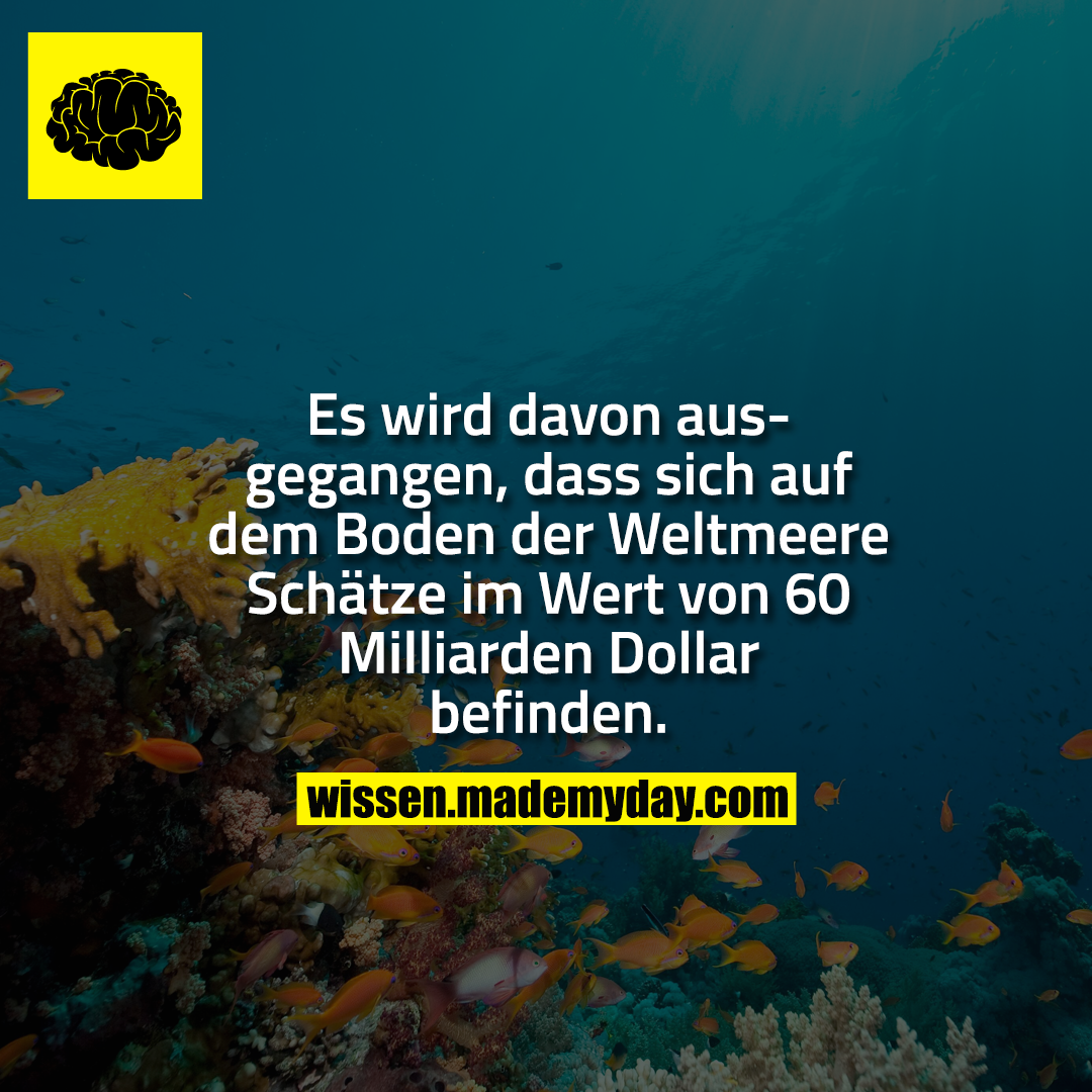 Es wird davon ausgegangen, dass sich auf dem Boden der Weltmeere Schätze im Wert von 60 Milliarden Dollar befinden.