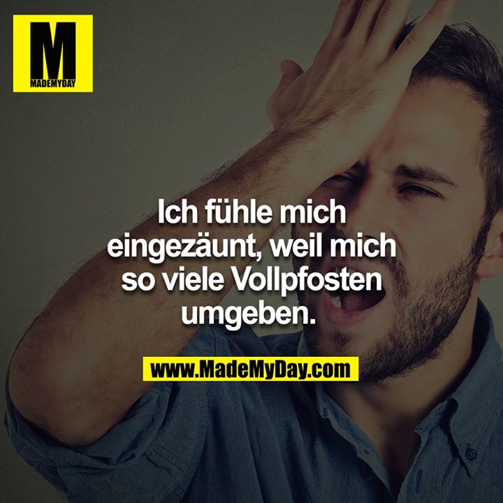 Ich fühle mIch eingezäunt, weil mIch so viele Vollpfosten umgeben. <br />

