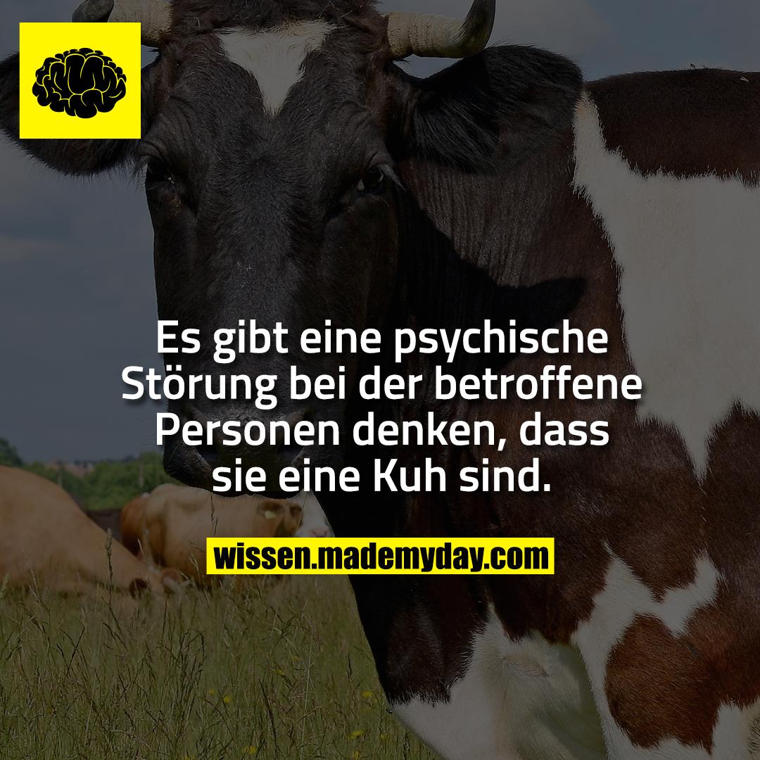 Es gibt eine psychische Störung bei der betroffene Personen denken, dass sie eine Kuh sind.