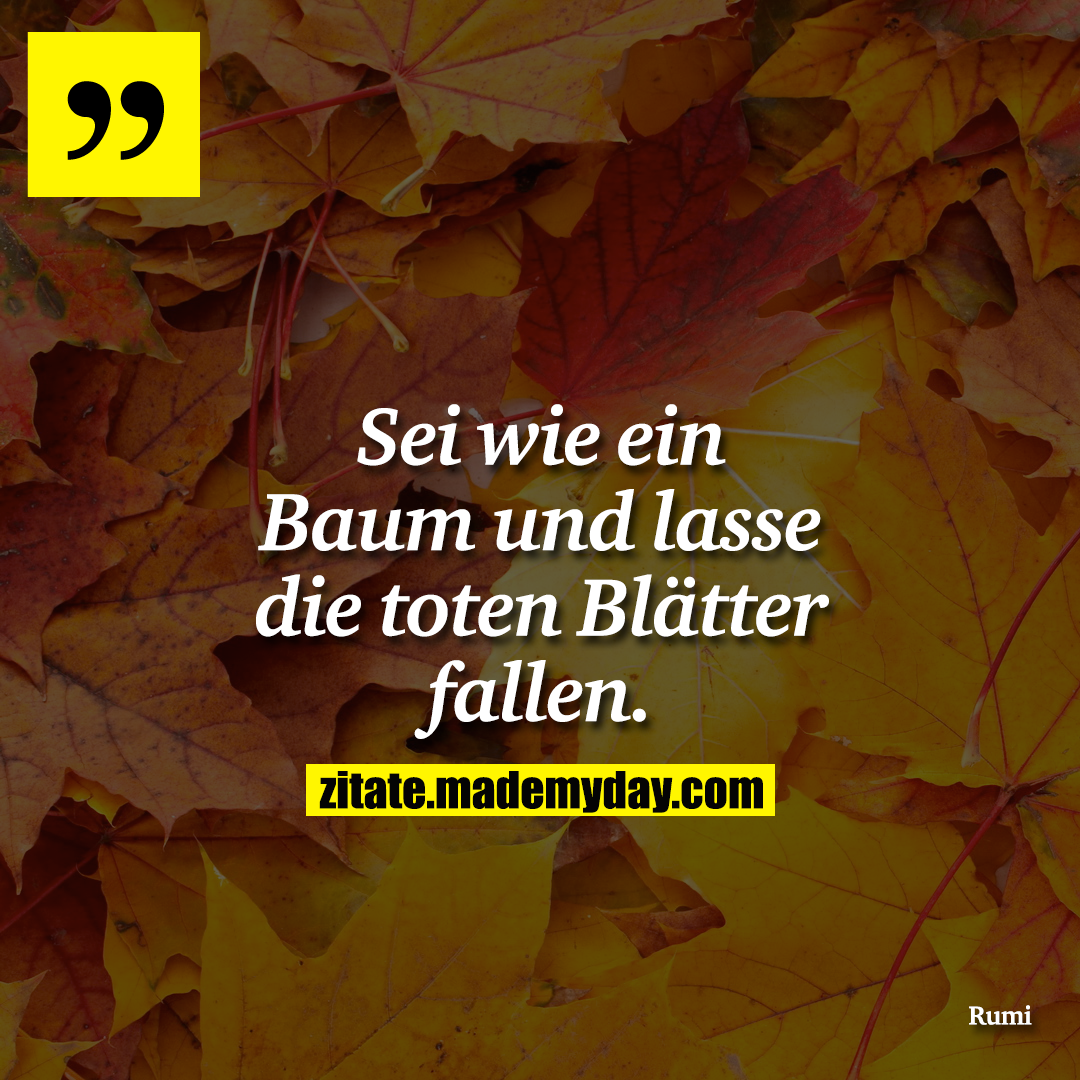 Sei wie ein Baum und lasse die toten Blätter fallen.