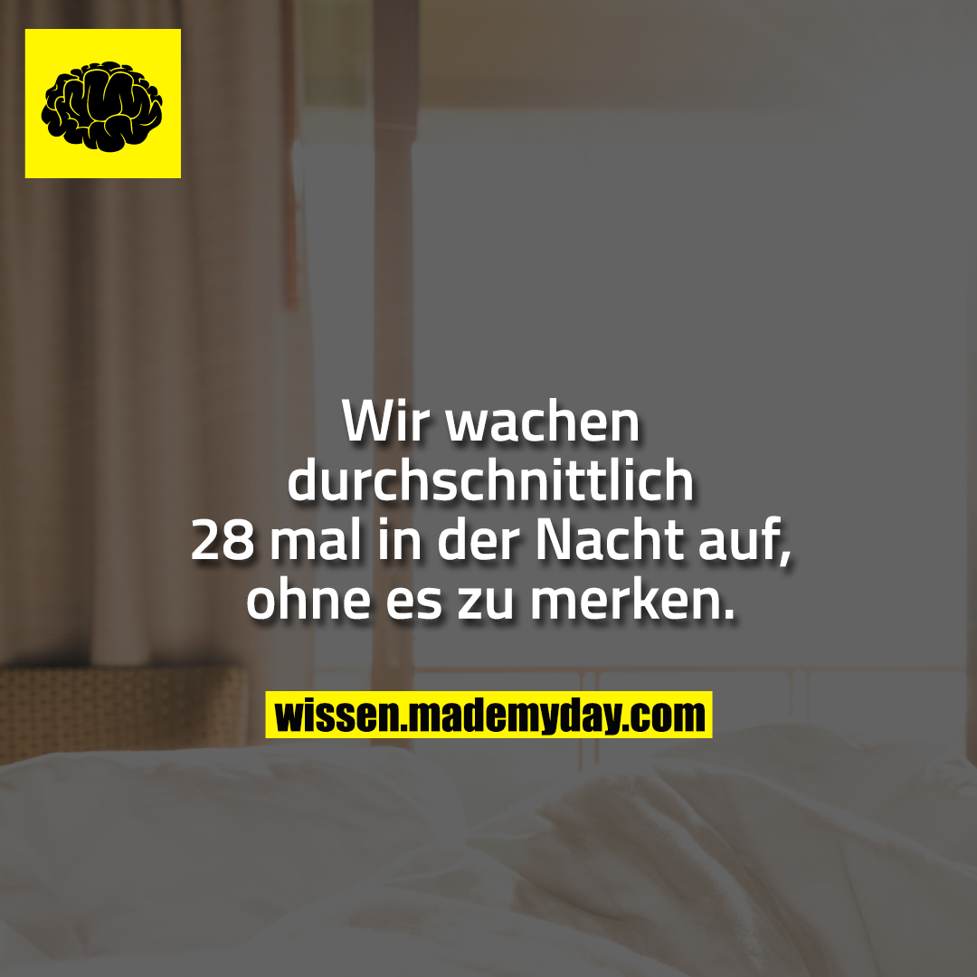 Wir wachen durchschnittlich 28 mal in der Nacht auf, ohne es zu merken.