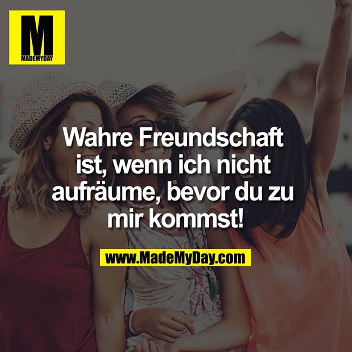 Wahre Freundschaft ist, wenn ich nicht aufräume, bevor du zu mir kommst!