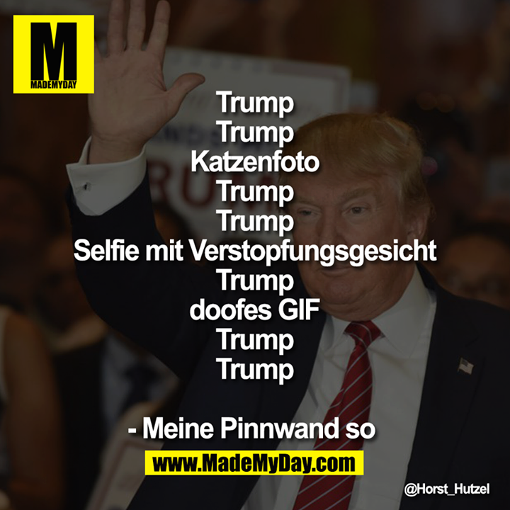 Trump<br />
Trump<br />
Trump<br />
Katzenfoto<br />
Trump<br />
Trump<br />
Selfie mit Verstopfungsgesicht<br />
Trump<br />
Trump<br />
doofes GIF<br />
Trump<br />
Trump<br />
<br />
- Meine Pinnwand so 