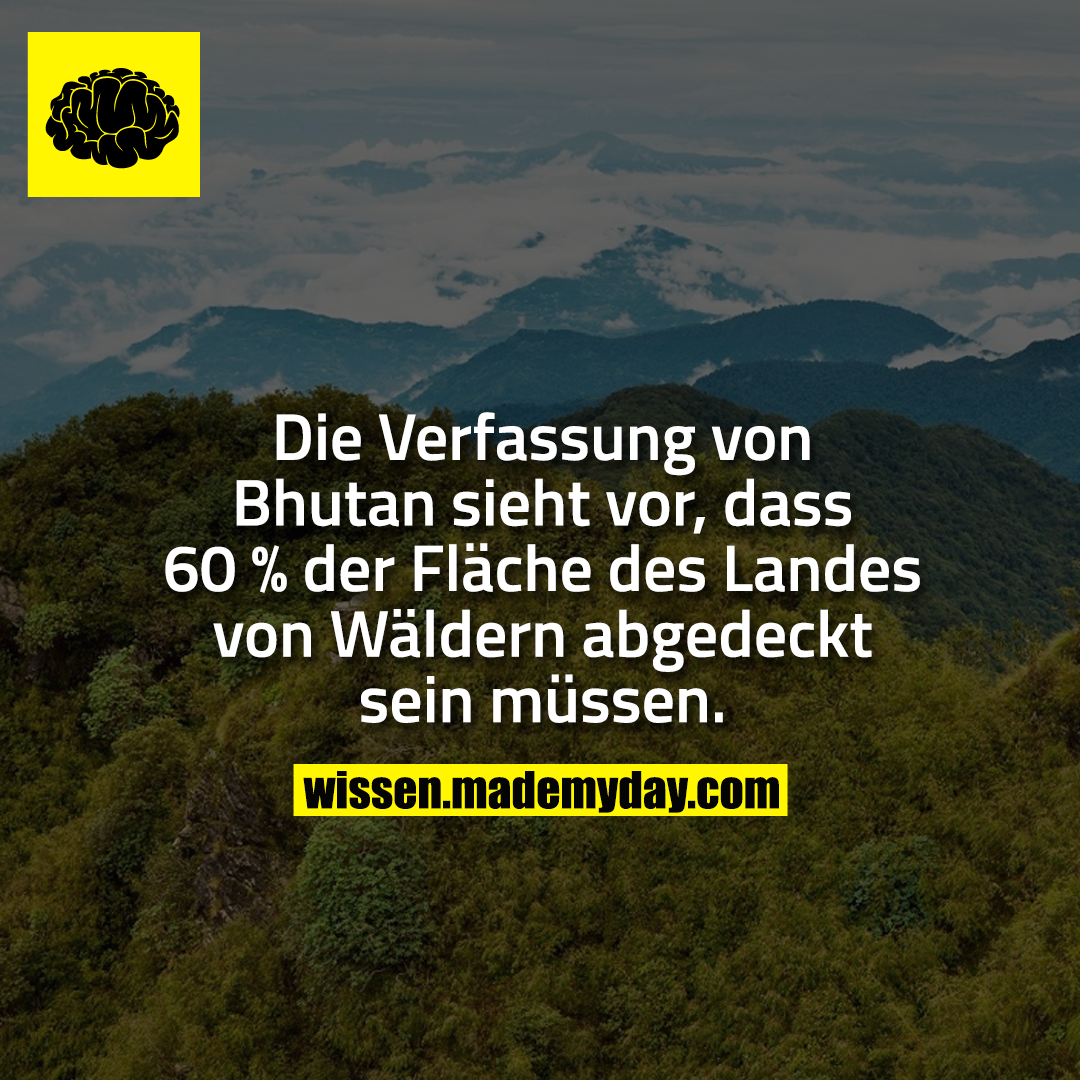 Die Verfassung von Bhutan sieht vor, dass 60 % der Fläche des Landes von Wäldern abgedeckt sein müssen.