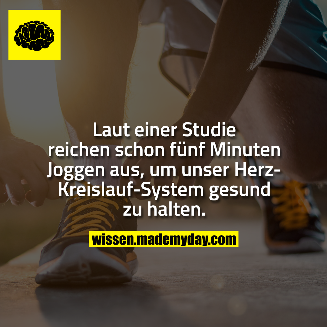 Laut einer Studie reichen schon fünf Minuten Joggen aus, um unser Herz-Kreislauf-System gesund zu halten.