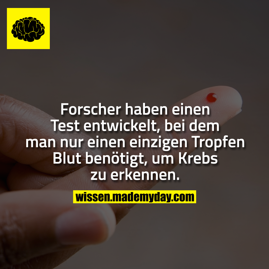 Forscher haben einen Test entwickelt, bei dem man nur einen einzigen Tropfen Blut benötigt, um Krebs zu erkennen.
