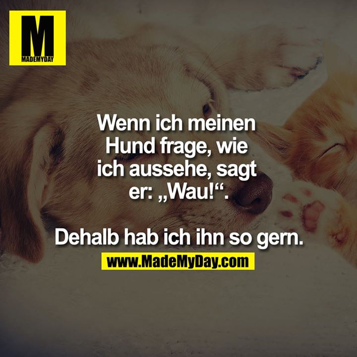 Wenn ich meinen Hund frage, wie ich aussehe, sagt er: "Wau!" Dehalb hab ich ihn so gern