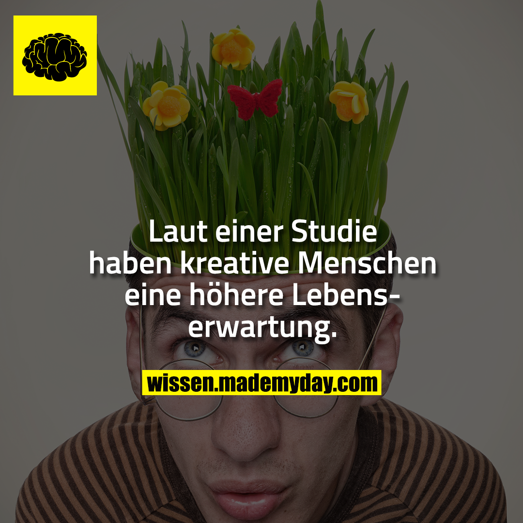 Laut einer Studie haben kreative Menschen eine höhere Lebenserwartung.
