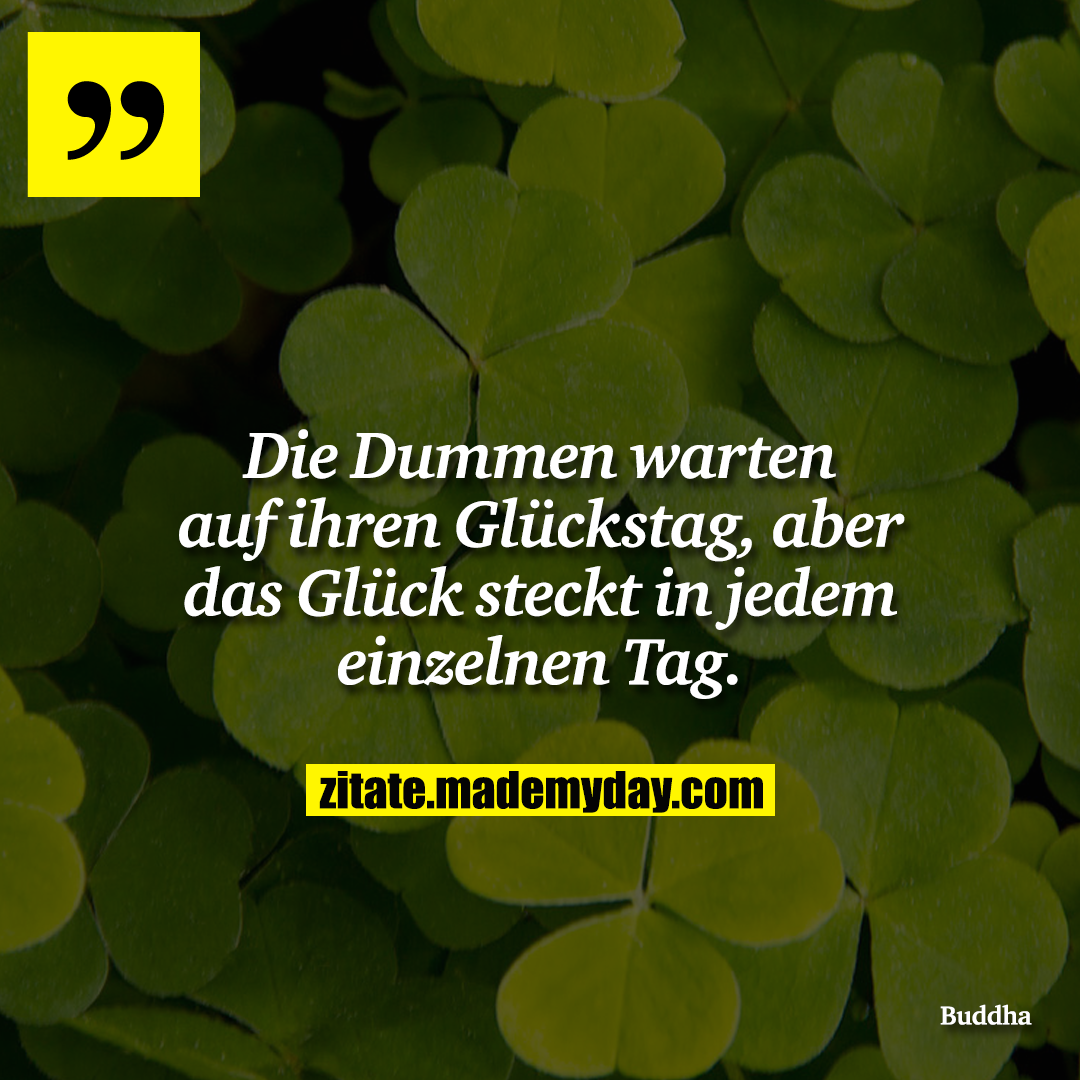 Die Dummen warten auf ihren Glückstag, aber das Glück steckt in jedem einzelnen Tag.