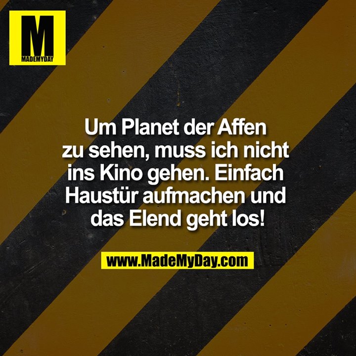 Um Planet der Affen zu sehen, muss ich nicht ins Kino gehen. Einfach Haustür aufmachen und das Elend geht los!<br />
