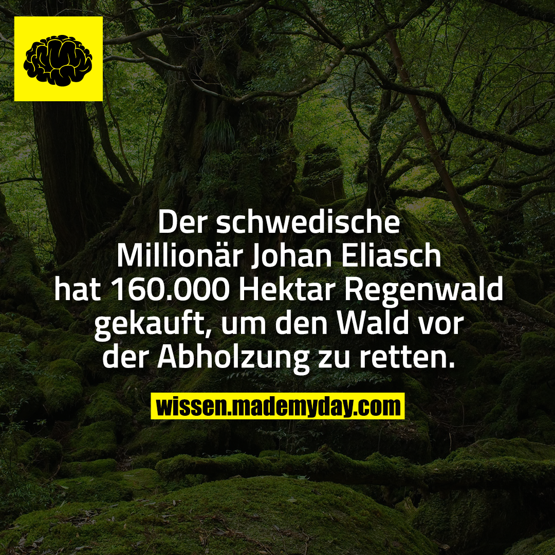 Der Schwedische Millionar Johan Eliasch Made My Day