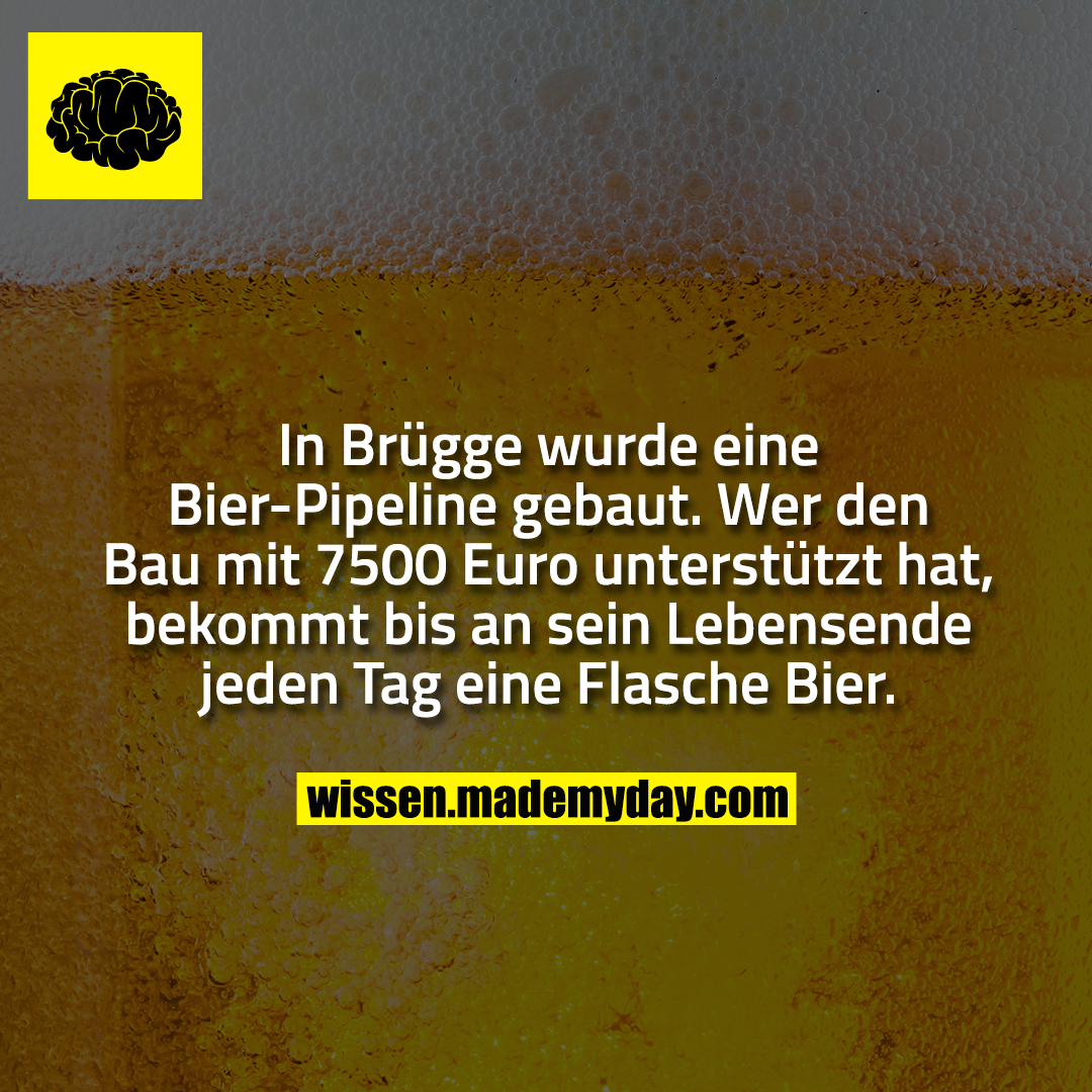 In Brügge wurde eine Bier-Pipeline gebaut. Wer den Bau mit 7500 Euro unterstützt hat, bekommt bis an sein Lebensende jeden Tag eine Flasche Bier.