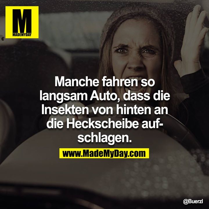 Manche fahren so langsam Auto, dass die Insekten von hinten an die Heckscheibe  aufschlagen