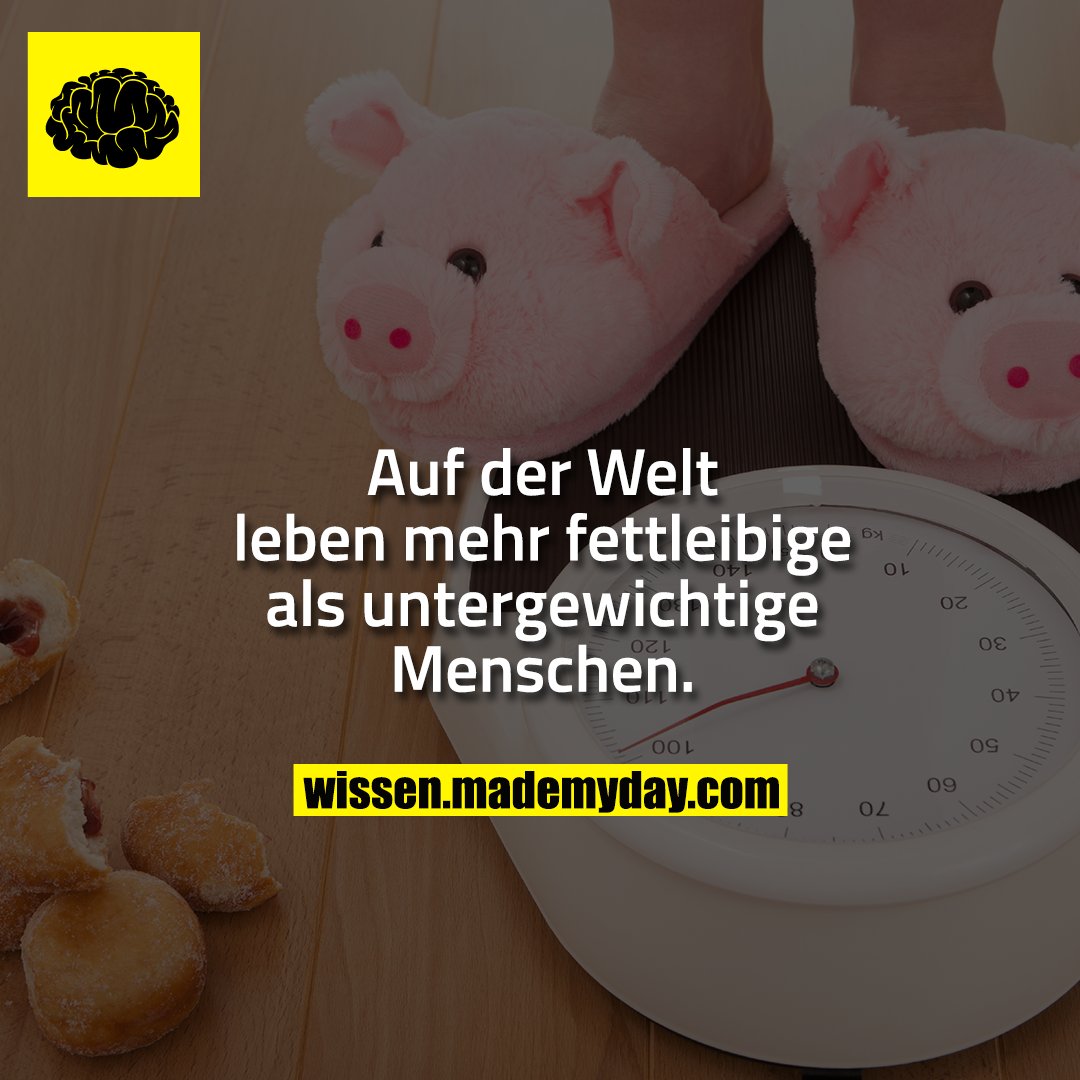 Auf der Welt leben mehr fettleibige als untergewichtige Menschen.