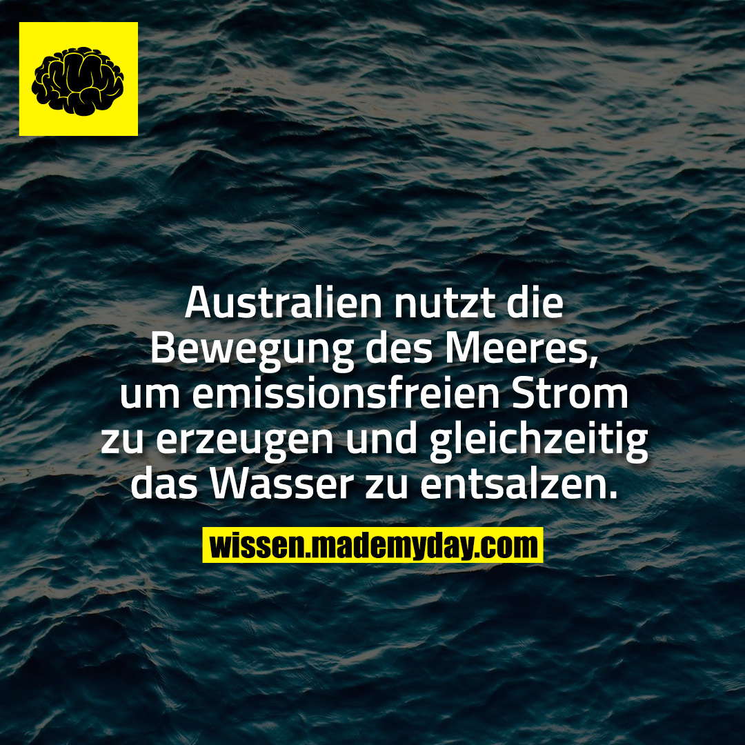 Australien nutzt die Bewegung des Meeres, um emissionsfreien Strom zu erzeugen und gleichzeitig das Wasser zu entsalzen.