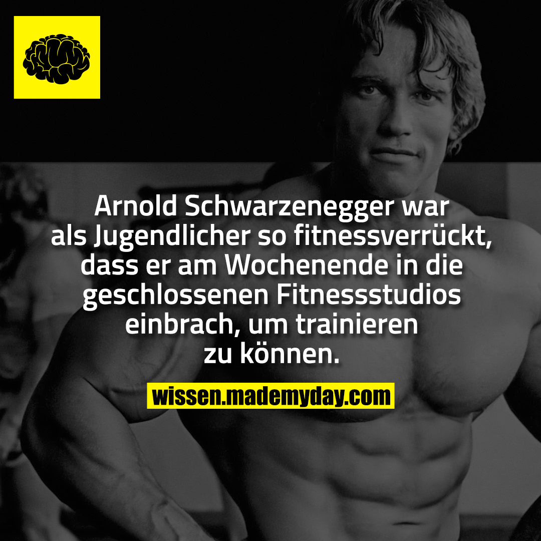 Arnold Schwarzenegger War Als Jugendlicher Made My Day