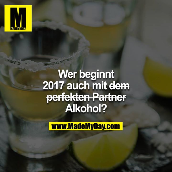 Wer beginnt 2017 auch mit  ̶d̶̶e̶̶m̶̶ ̶̶p̶̶e̶̶r̶̶f̶̶e̶̶k̶̶t̶̶e̶̶n̶̶ ̶̶p̶̶a̶̶r̶̶t̶̶n̶̶e̶̶r̶ Alkohol?