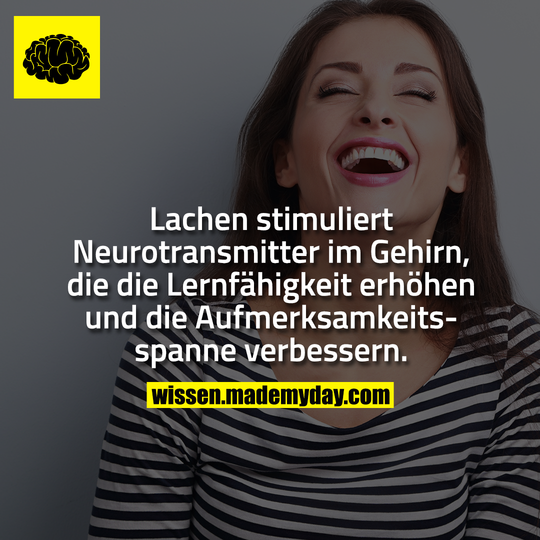 Lachen stimuliert Neurotransmitter im Gehirn, die die Lernfähigkeit erhöhen und die Aufmerksamkeitsspanne verbessern.