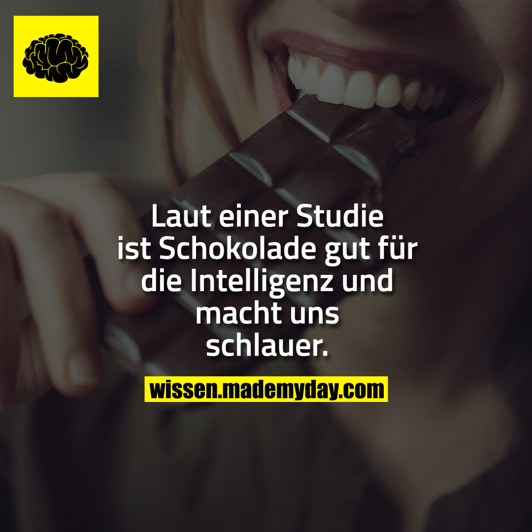 Laut einer Studie ist Schokolade gut für die Intelligenz und macht uns schlauer.