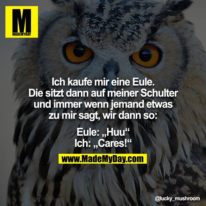 Ich kaufe mir eine Eule. Die sitzt dann auf meiner Schulter und immer wenn jemand etwas zu mir sagt, wir dann so:<br />
<br />
Eule: „Huu“<br />
Ich: „Cares!“